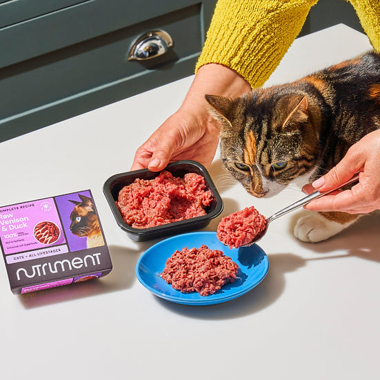 Nutriment Beef for Cats - Complete - 500g