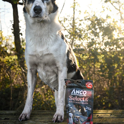 Anco Selects Beef Bites With Collagen