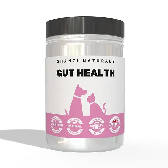 Gut Health Powder - Natural Pre & Pro-biotic