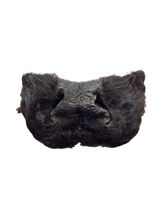 Dried Beef Nose
