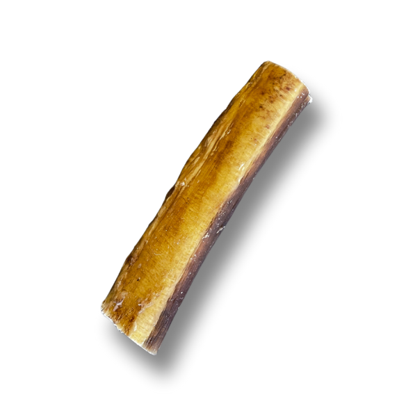 Premium Pizzle/Bully Stick