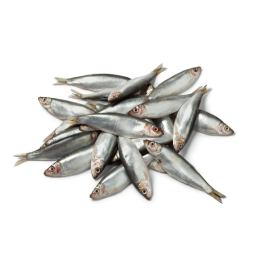 Bulmer Sprats - 1kg