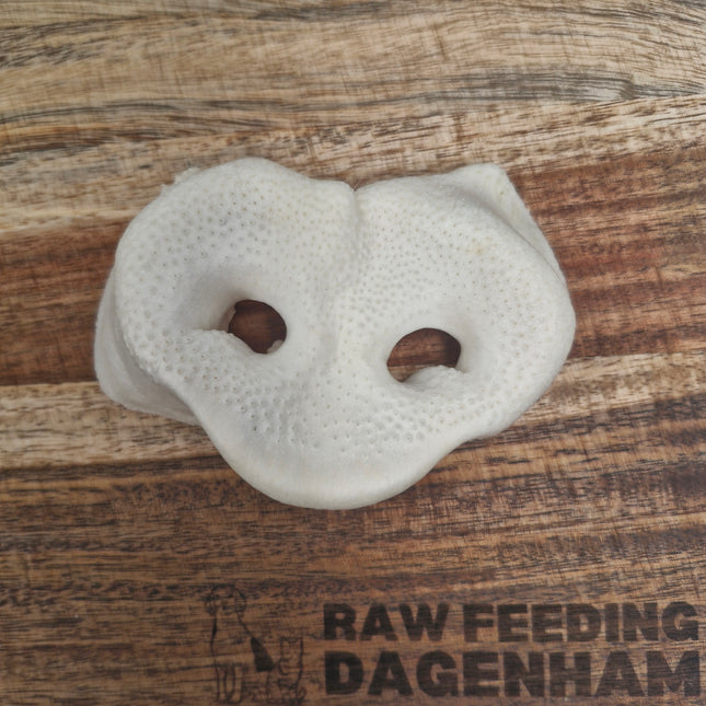 Puffed Porky Snout