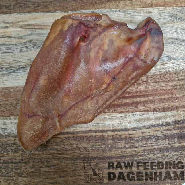 Dried Pig Ear
