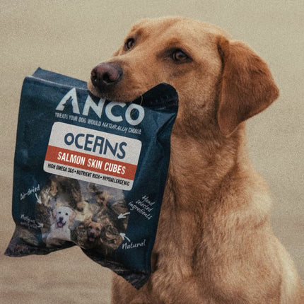 Anco Oceans Salmon Skin Cubes - 100g