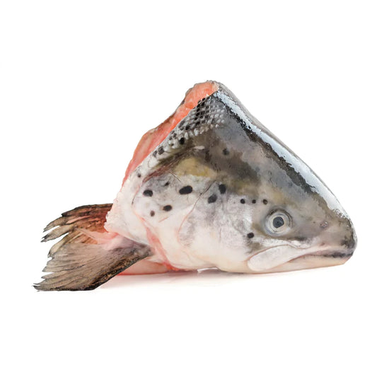 Salmon Heads (Pack of 3)