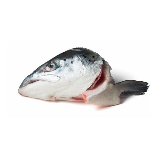 Dougies Whole Salmon Heads - 3 pack