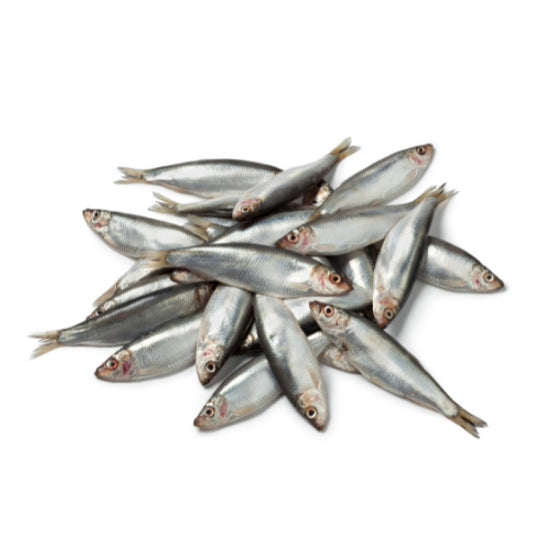 Dougies Sprats - 1KG