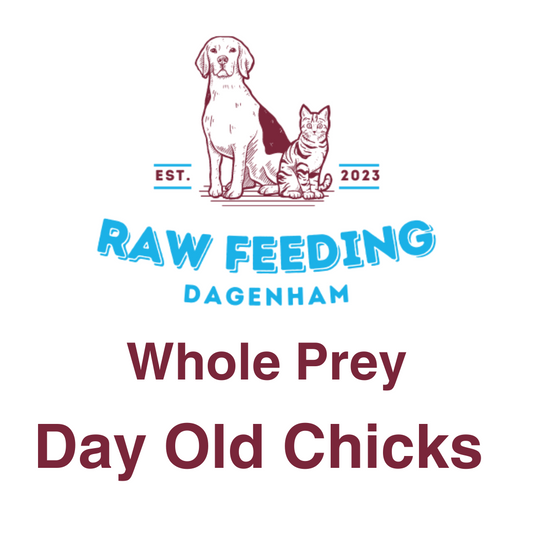 Day Old Chicks - 1kg - Whole Prey