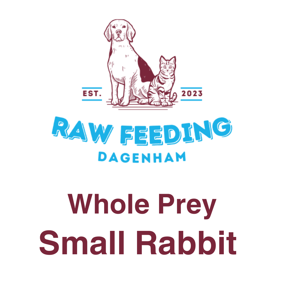 Small Rabbit - Whole Prey