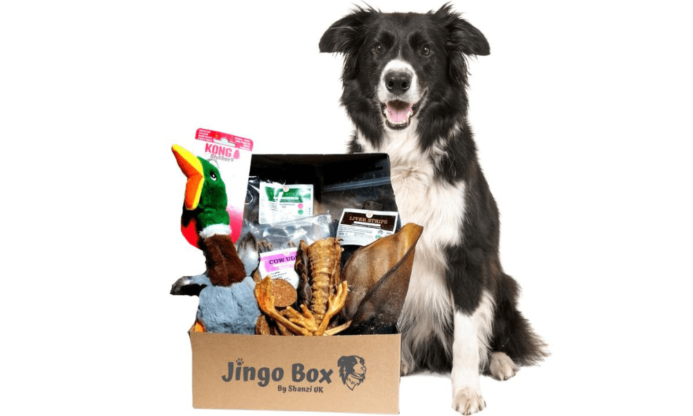 Jingo Box - Raw Feeding Dagenham (Shanzi UK)