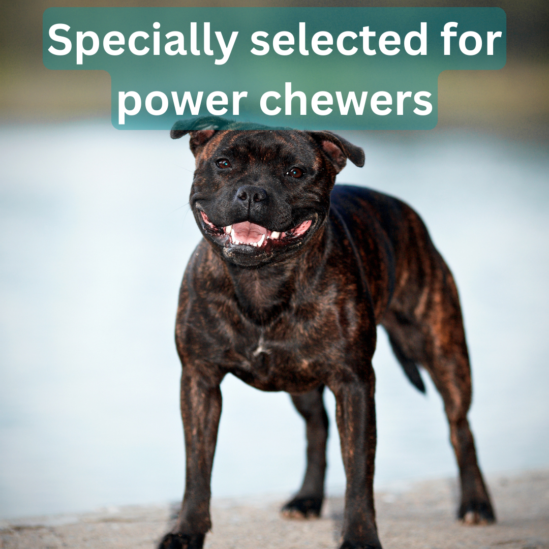 long lasting natural treats and chews for strong dogs